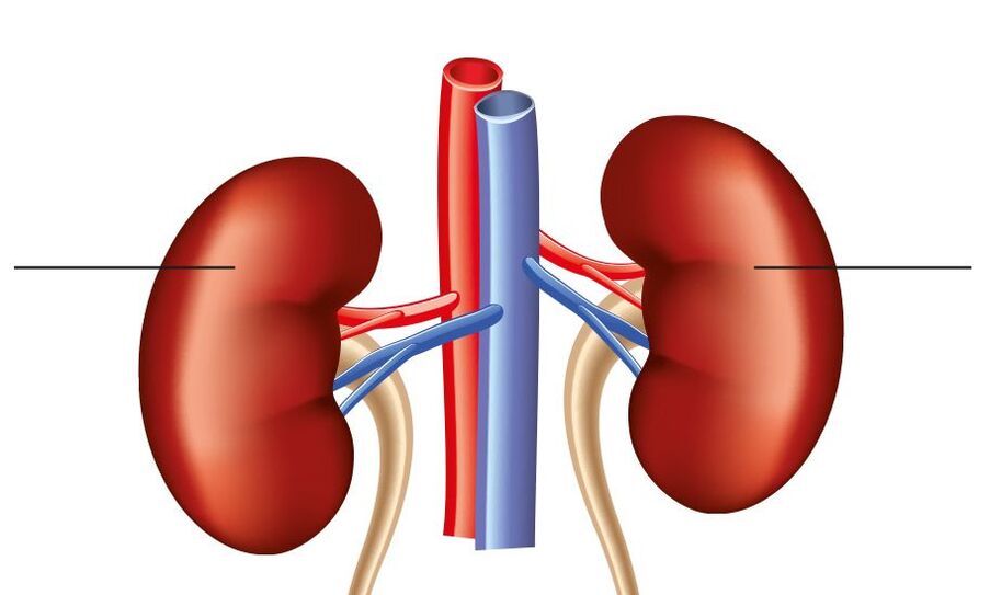 hipertensión renorrenal